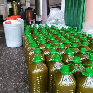 Aceite de oliva virgen extra 2026