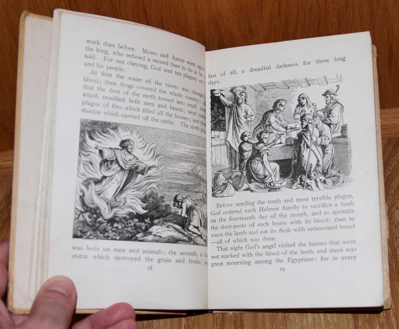 How to make essays longer picture