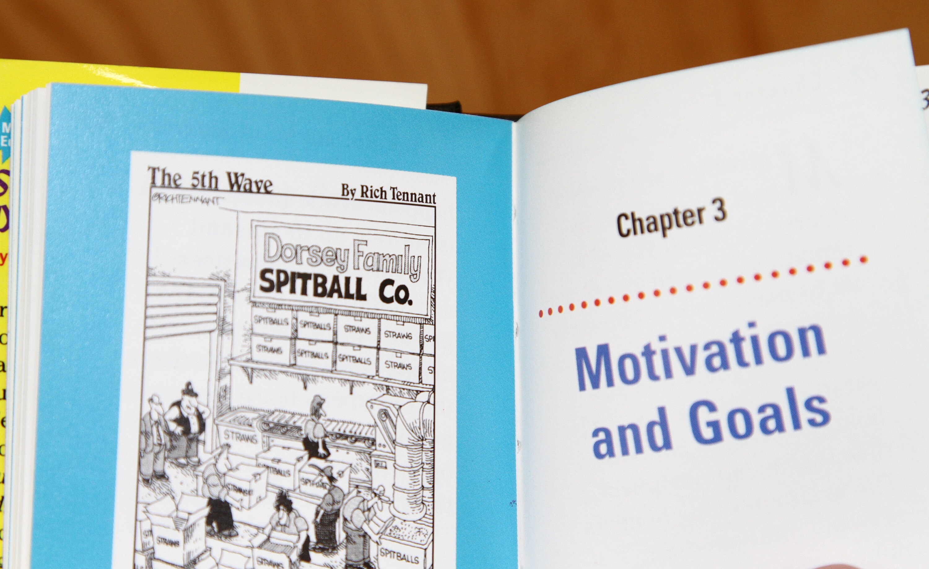 Éxito para Dummies por Zig Ziglar Edición miniatura Etsy España