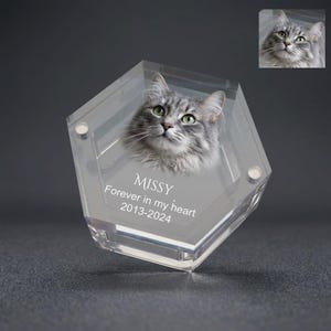 Può includere: Un memoriale esagonale trasparente con un ritratto di un gatto grigio con occhi verdi. Il nome "Missy" e l'iscrizione "Forever in my heart 2013-2024" sono stampati sul fronte. Una piccola immagine del gatto è nell'angolo in alto a destra.