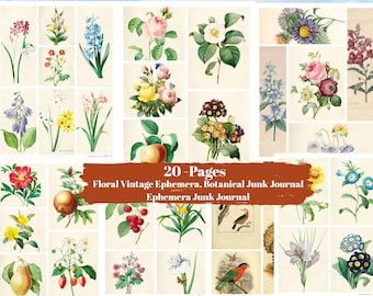 Páginas de diario basura con efímeras botánicas antiguas / Ilustraciones florales antiguas (descarga digital)
