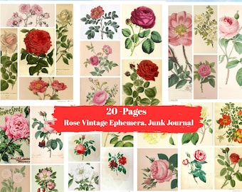 Kit de efímeras vintage de rosas / Ilustraciones florales antiguas, páginas de diario basura (descarga digital)