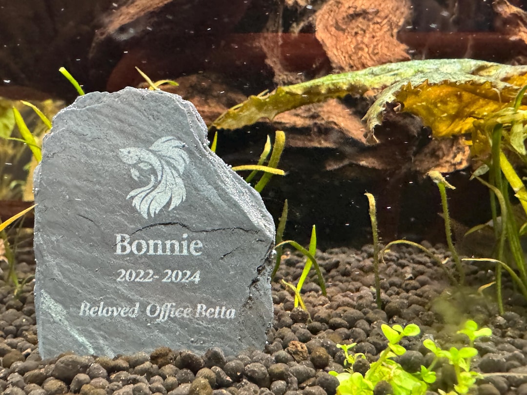 Personalized Fish Gravestone Memorial for Aquarium - Etsy