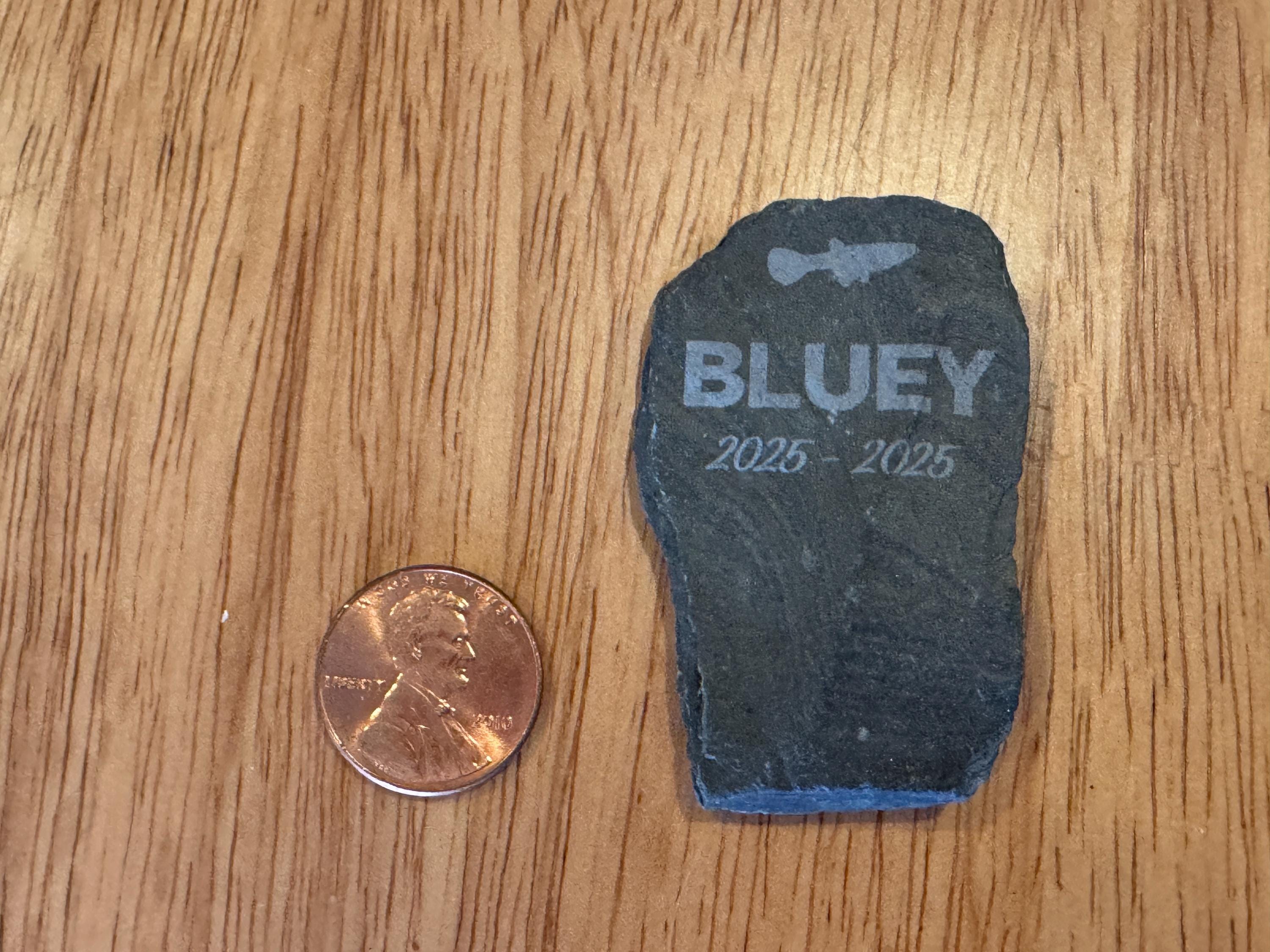 Personalized Fish Gravestone Memorial for Aquarium - Etsy