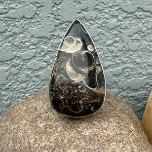 May include: A teardrop-shaped ring featuring a polished stone with a dark brown and black base, accented by swirling white and cream-coloured circular patterns. The stone is set within a smooth, thin silver-toned metal bezel frame.