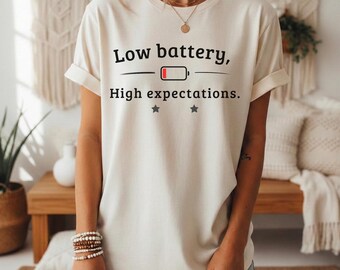 Low Battery High Expectations Shirt, Funny Introvert Tee, Sarcastic Humor Unisex TShirt