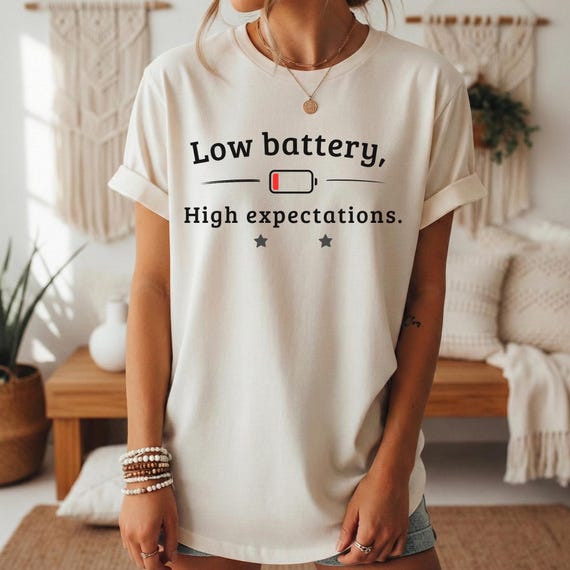 Low Battery High Expectations Shirt, Funny Introvert Tee, Sarcastic Humor Unisex TShirt