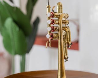 Piccolo-trompet Bes 4-ventiel messing gepolijst gouden afwerking Compacte trompet met koffer en mondstuk