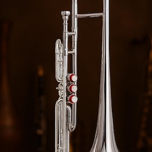 Trombón tenor en Si bemol de 3 válvulas con acabado plateado / Instrumento crossover para principiantes con estuche imagen 10