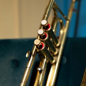 Pu&ograve; includere: Primo piano di un trombone in ottone, che mostra la sua finitura lucida e il suo design complesso. Lo strumento presenta dettagli bianchi e rossi sulle valvole, su uno sfondo verde acqua. Uno strumento musicale.