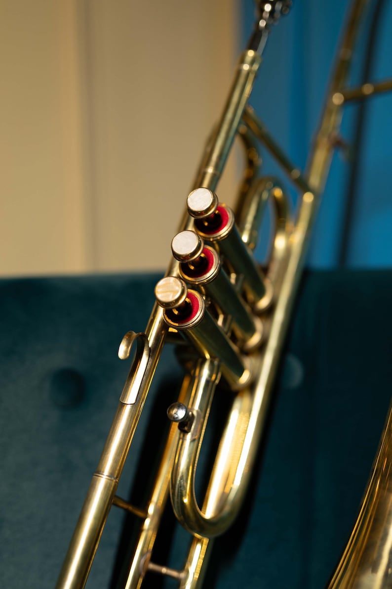 Pu&ograve; includere: Primo piano di un trombone in ottone, che mostra la sua finitura lucida e il suo design complesso. Lo strumento presenta dettagli bianchi e rossi sulle valvole, su uno sfondo verde acqua. Uno strumento musicale.