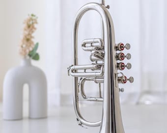 Bb-bugel met 4 kleppen, nikkelafwerking | Instrument met koffer en mondstuk