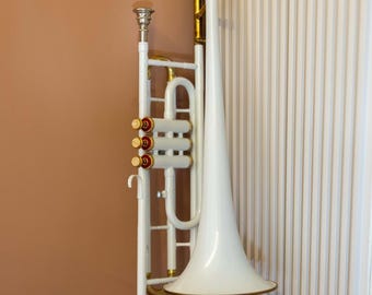Bb-trombone, 3 ventielen, witte afwerking | Beginnersinstrument met koffer en accessoires