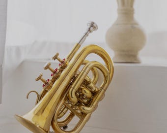 Bb-zaktrompet: messing afwerking, 3 ventielen, compact reisinstrument met koffer
