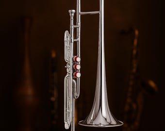 Bb-tenortrombone, 3 kleppen, zilveren afwerking | Crossover-instrument voor beginners met koffer