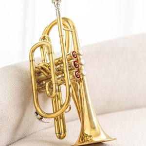 May include: A shiny brass cornet with silver accents. The cornet has three valves with white and red details. The instrument is resting on a neutral-colored surface.