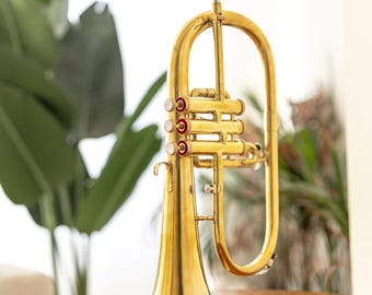 Bb-bugel 3 kleppen messing – gouden afwerking | Jazzbandinstrument met koffer en mondstuk
