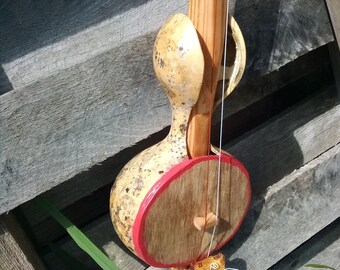 Two stringed gourd banjo - banza