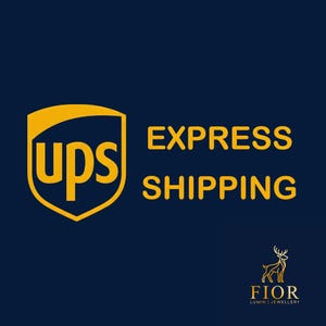 DDP Service, Express Shipping