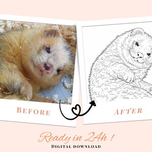 以下が含まれることがあります： フェレットのビフォーアフター画像。「ビフォー」写真は、横たわっている茶色のフェレットを示しています。「アフター」画像は、フェレットの白黒線画です。テキストは「Ready in 24h! DIGITAL DOWNLOAD」と表示されています。
