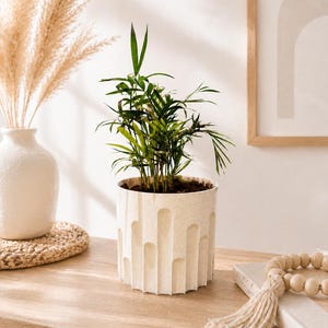 Può includere: Una piccola pianta verde in un vaso strutturato bianco sporco con un motivo ad arco. Il vaso è appoggiato su una superficie di legno, accanto a un vaso con erba della pampa essiccata, un sottobicchiere intrecciato e perline di legno decorative.