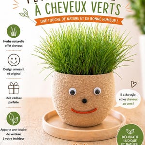 Maceta con forma de cara divertida – “Hombrecito” – Cabeza plantable – Cabeza de hierba – Decoración original – Hecha a mano por Atelier GiGi 3D