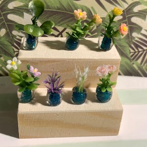 Peut inclure: Plusieurs petites plantes en pot de différentes couleurs, dont le vert, le jaune, le rose et le violet, sont disposées sur un présentoir en bois à deux niveaux. Les plantes sont dans de petits pots bleus texturés.