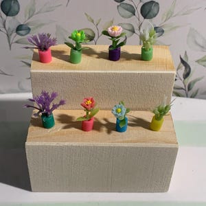 Peut inclure: Des fleurs miniatures en pot de différentes couleurs, dont le violet, le vert, le rose et le bleu, sont disposées sur un présentoir en bois à deux niveaux. Les fleurs sont dans de petits pots colorés, créant une esthétique charmante et fantaisiste. Le fond est un papier peint floral.