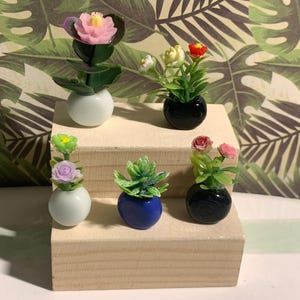 Peut inclure: Un ensemble de cinq plantes artificielles miniatures dans de petits pots ronds. Le lot comprend une fleur rose dans un pot blanc, un arrangement floral multicolore dans un pot noir, une fleur violette et verte dans un pot blanc, une succulente verte dans un pot bleu et une rose rose dans un pot noir.