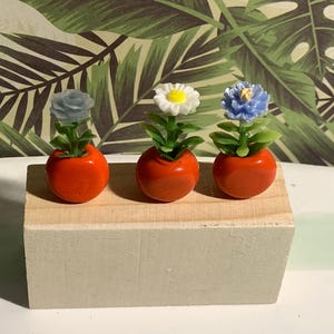 Fleurs  miniatures  modernes pots rouges