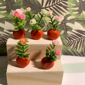 Fleurs  miniatures  modernes pots rouges