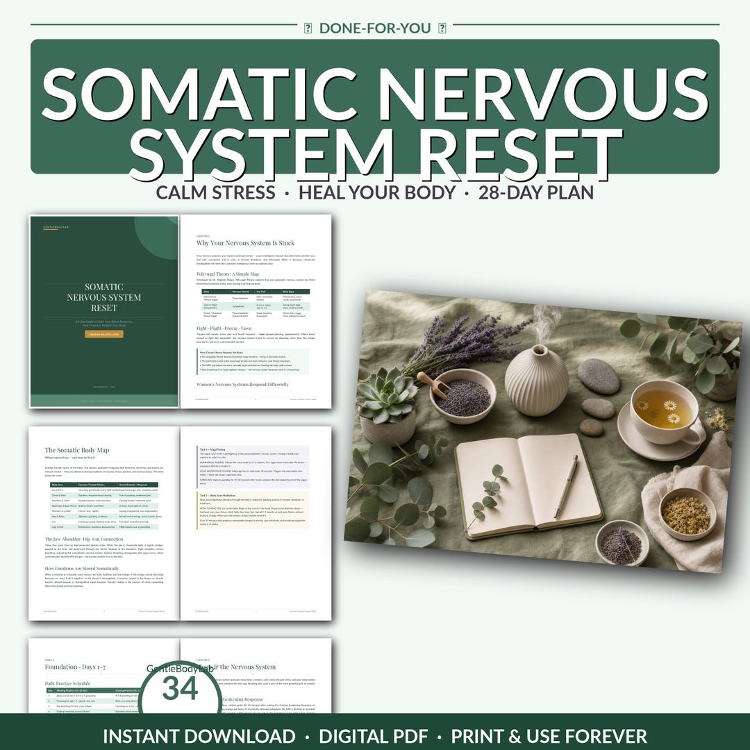 Somatic Nervous System Reset | 28-day Plan | Polyvagal Tools ...