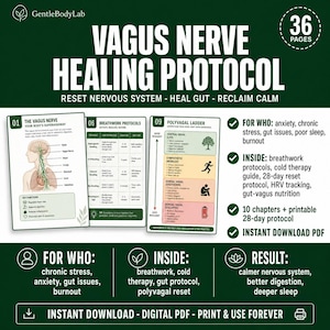 Può includere: Un PDF digitale intitolato "Vagus Nerve Healing Protocol" con un design verde e bianco. La guida include protocolli di respirazione, terapia del freddo e un protocollo di ripristino di 28 giorni. Affronta ansia, problemi intestinali ed esaurimento, offrendo un percorso.
