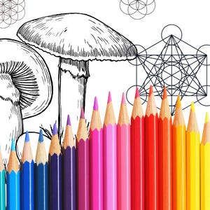 Coloring Page: All Things Connected Mushroom Fungi Ladybug Insect Bug Nature Art (Digital Download)