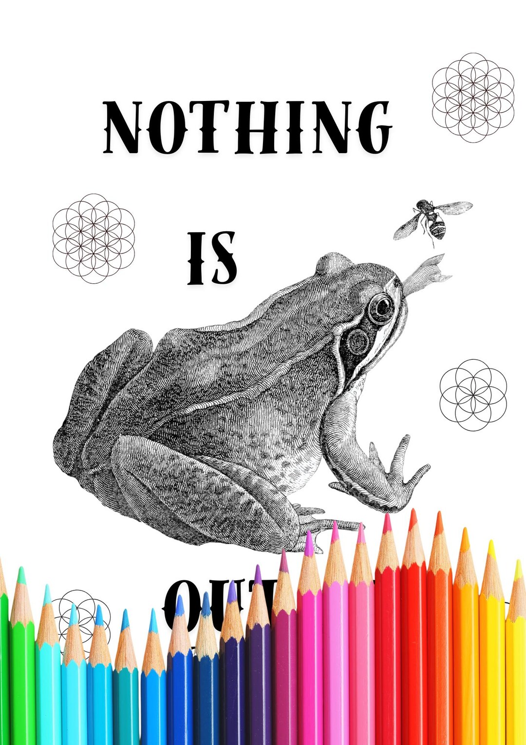 Frog and Fly Motivational Coloring Page: Nothing is Out of Reach ...