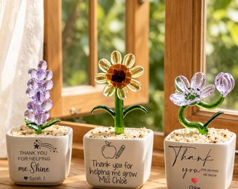 Personalisierter Glasblumentopf, Mini-Glaspflanze mit individuellem Namen, Schreibtischdeko, Geschenk für Lehrer zum Schulanfang