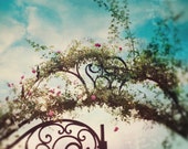French Gate Photo, Blue, Dreamy, Iron Fence, Gate, Nursery Decor, Cottage Art, Shabby Chic, Architecture, Overgrown, Flowers, Fairy Tale