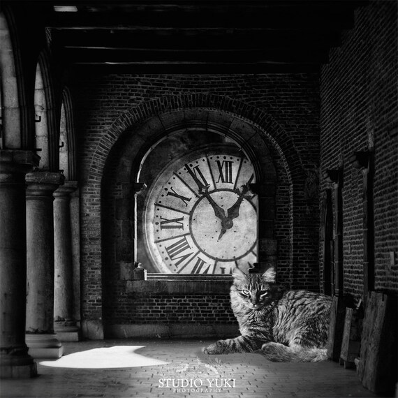 Dark Surreal Photography Alice In Wonderland Inspired Etsy