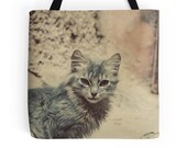 Cat Tote Bag, Photo Bag, Animal Photography, Gift for Cat Lovers, Whimsical, Travel, Morocco, Autumn Accessories, Cat Bag, Animal Lover