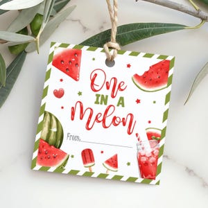 Può includere: Un'etichetta regalo quadrata a tema anguria. L'etichetta presenta le parole "One in a Melon" in corsivo rosso, insieme a fette di anguria, un ghiacciolo e un bicchiere di succo di anguria. L'etichetta ha un bordo a righe verdi e bianche.