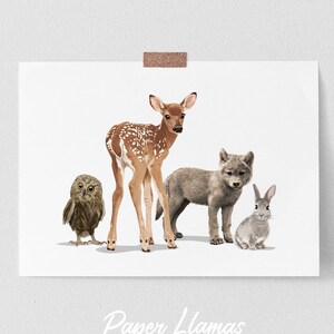 Woodland Nursery Art PRINTABLE, baby animal poster, forest animals childrens Digital Download - woodsy mountain baby room artwork
