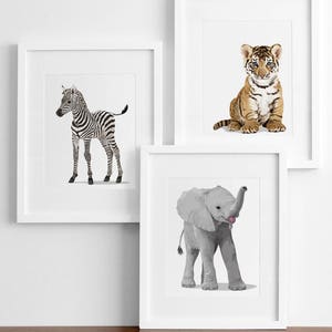 Baby animal nursery art pick any 3 unframed prints gender neutral nursery decor classic nursery art baby jungle animal image 1