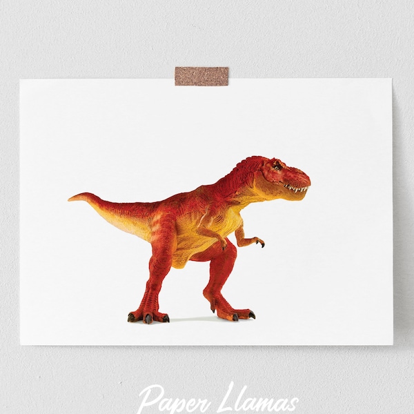 Dinosaur Nursery Art - PRINTABLE - T-Rex children's wall art print -  Tyronosaurus Rex Digital Download Toddler Baby Room Dino Artwork