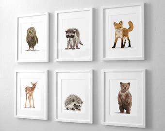 Woodland nursery art, baby animal art forest decor, set of six unframed prints - adventure explorer camping art