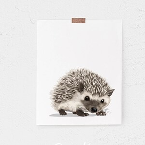 Baby Hedgehog Art PRINTABLE -  woodland nursery wall art for toddler rooms - forest animal artwork