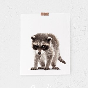 Baby Raccoon Art PRINTABLE -  woodland nursery wall art for toddler rooms - forest animal artwork