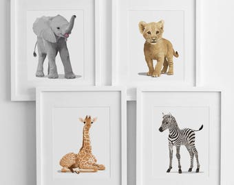 Baby animal nursery decor, set of four unframed prints, zoo animal artwork for kids