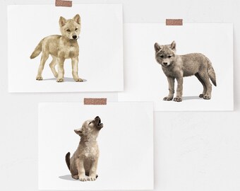 Baby wolf cub nursery art - set of 3 unframed prints - mountain animal adventure children's art - woodland baby room decor