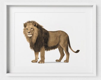 Lion art print, Circus Nursery Art Poster, zoo animals childrens unframed print - Arican Safari Baby Room Artwork