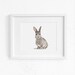 Baby Bunny Art PRINTABLE Bunny Nursery Artwork Baby Bunny - Etsy